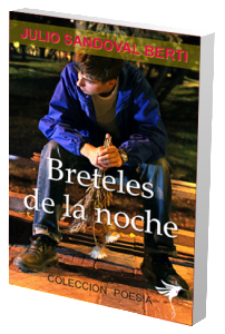 Breteles de la noche